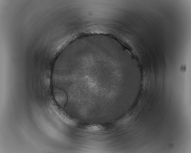 X0000115370402200911241245
