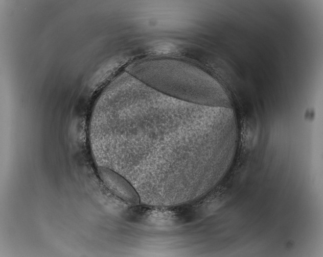 X0000115370403200911241245