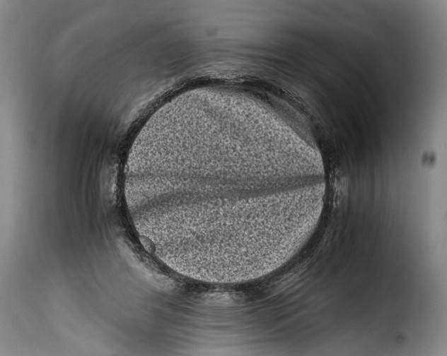 X0000115370404200911241245