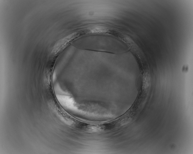 X0000115370405200911241245
