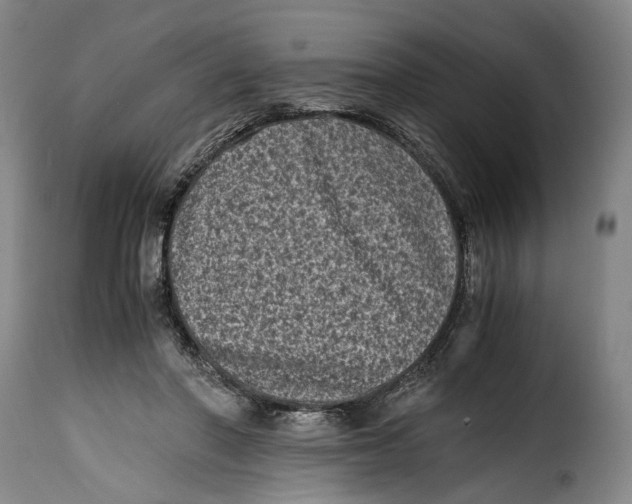 X0000115370406200911241245