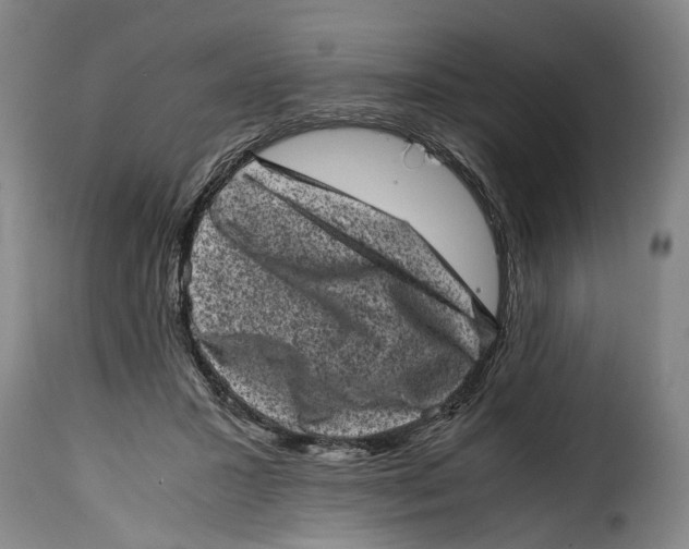 X0000115370407200911241245