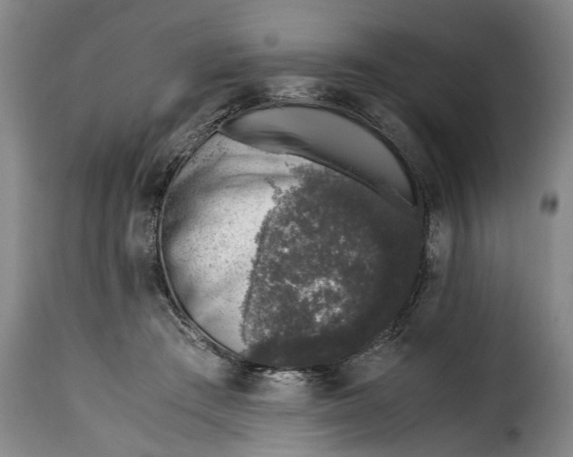 X0000115370409200911241245