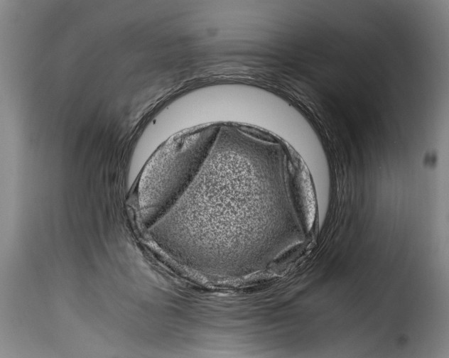 X0000115370411200911241245