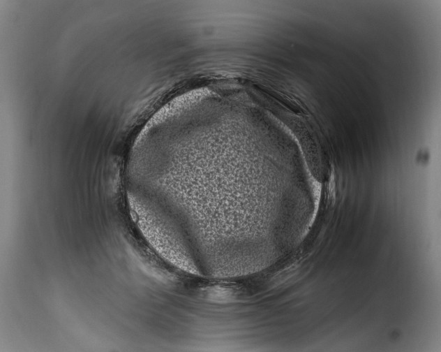 X0000115370412200911241245