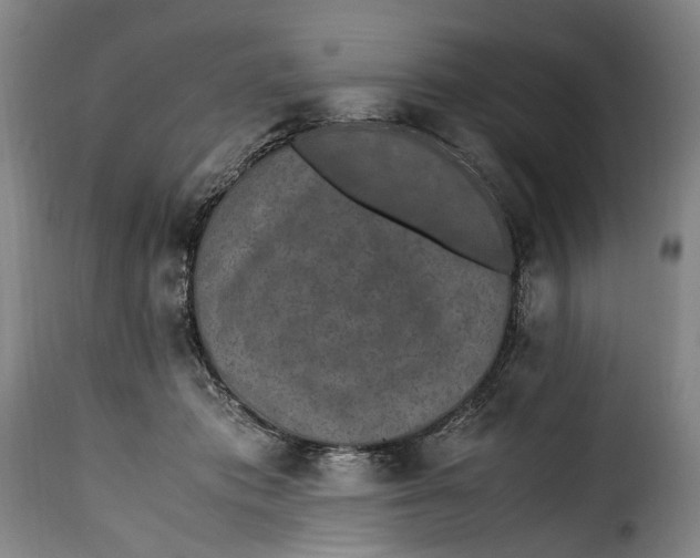 X0000115370413200911241245