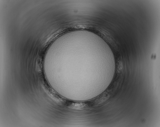 X0000115370414200911241245