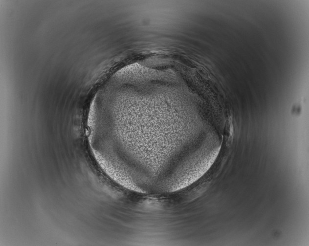 X0000115370416200911241245