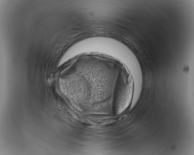 X0000115370417200911241245