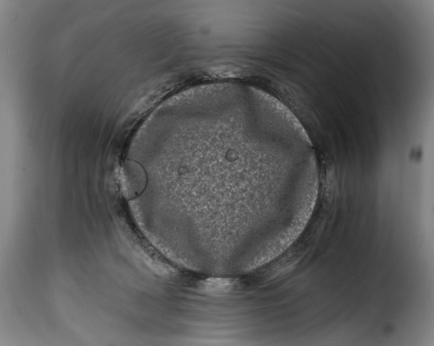 X0000115370418200911241245