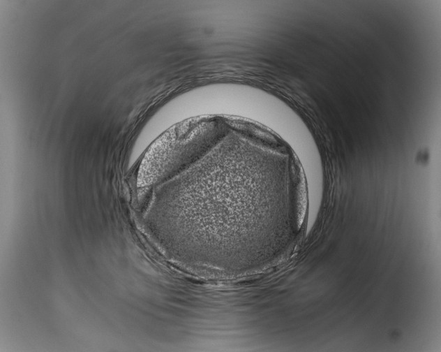 X0000115370419200911241245