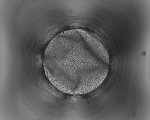X0000115370420200911241245