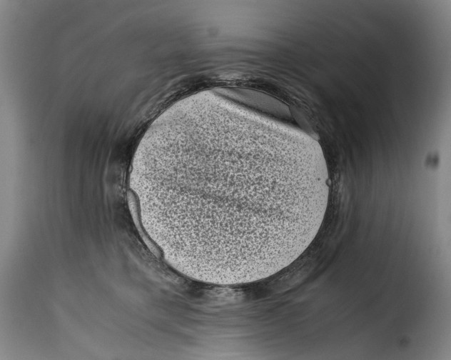 X0000115370421200911241245