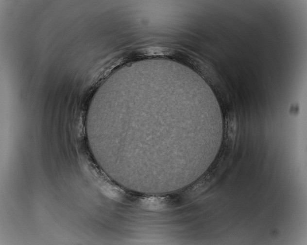 X0000115370422200911241245