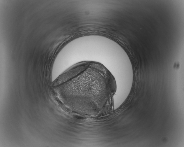 X0000115370423200911241245
