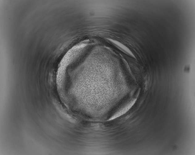 X0000115370424200911241245