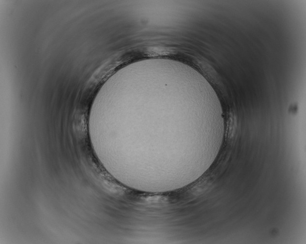 X0000115370426200911241245