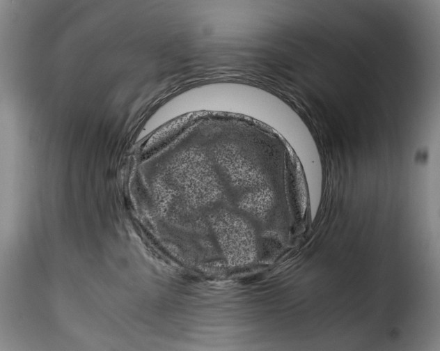X0000115370427200911241245