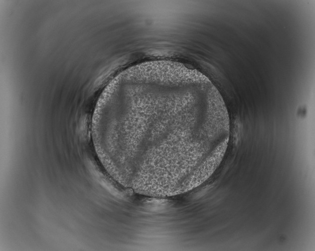 X0000115370428200911241245
