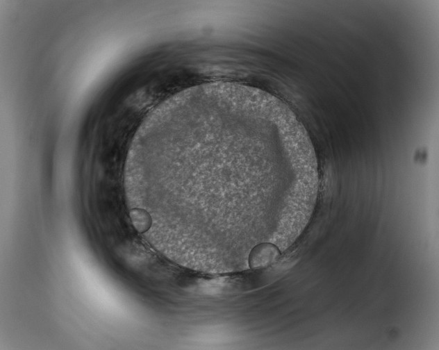 X0000115370430200911241245