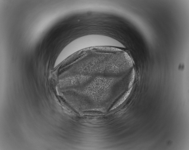 X0000115370431200911241245