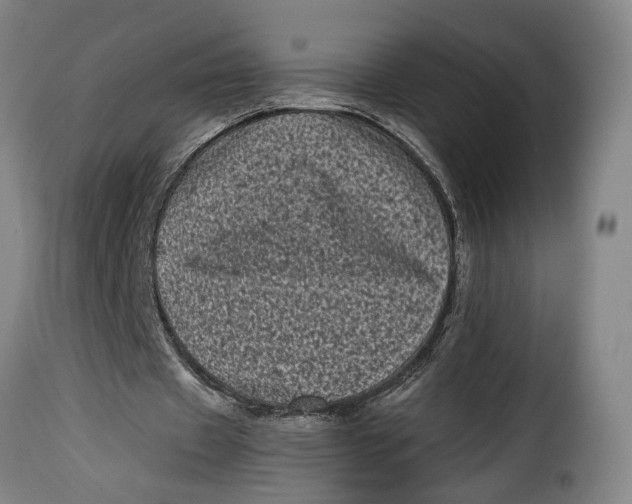 X0000115370433200911241244
