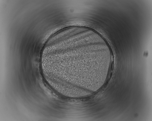 X0000115370434200911241244