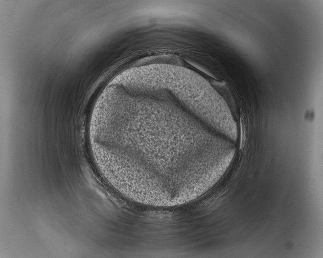 X0000115370435200911241244