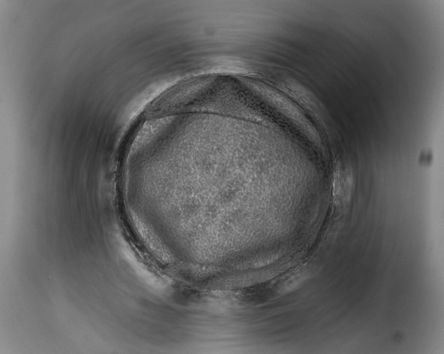X0000115370436200911241244
