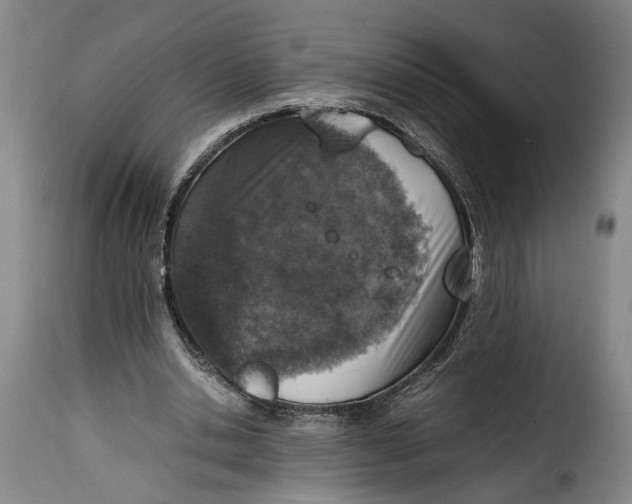 X0000115370438200911241244