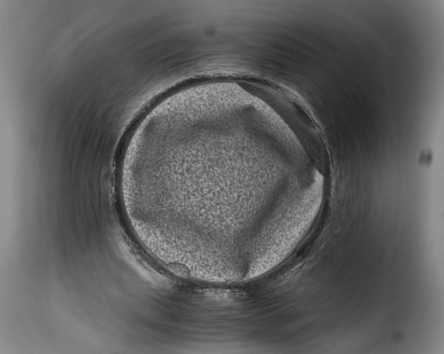 X0000115370439200911241244