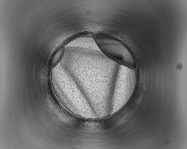X0000115370440200911241244