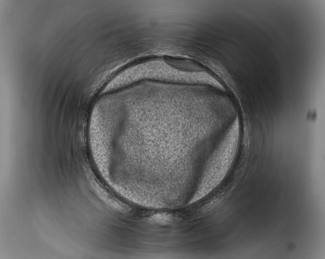 X0000115370441200911241244