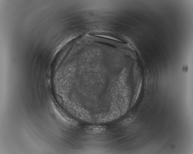 X0000115370443200911241244