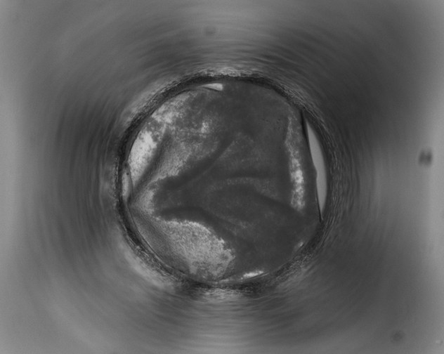 X0000115370444200911241244