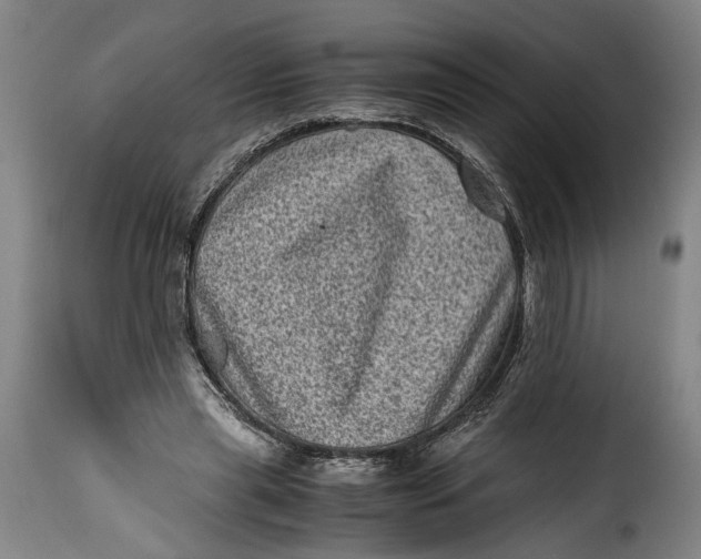 X0000115370445200911241244