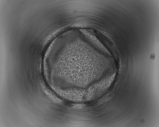 X0000115370446200911241244