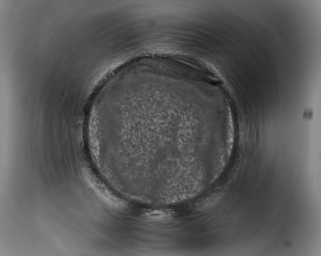 X0000115370447200911241244