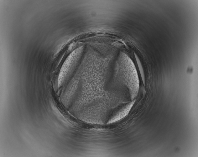 X0000115370448200911241244