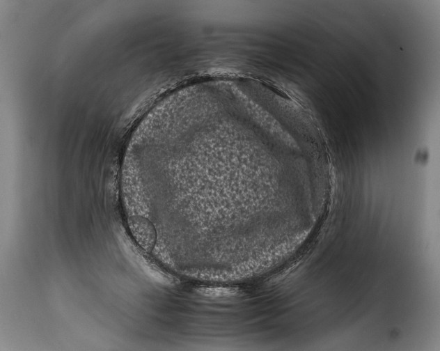 X0000115370449200911241244
