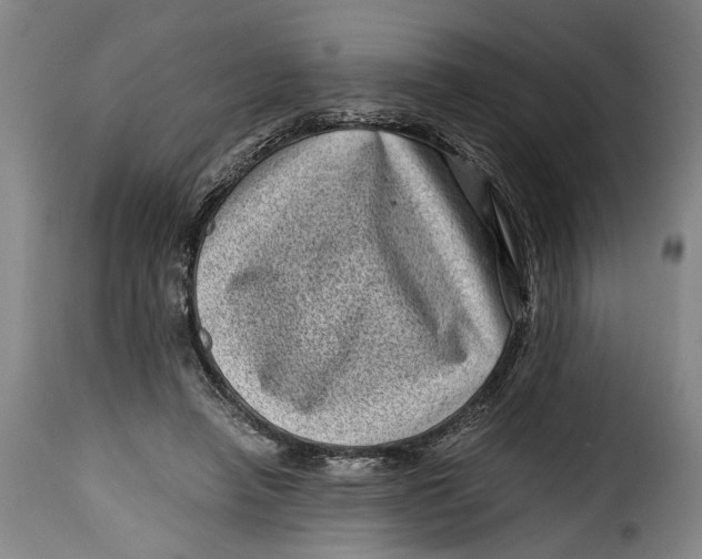 X0000115370450200911241244
