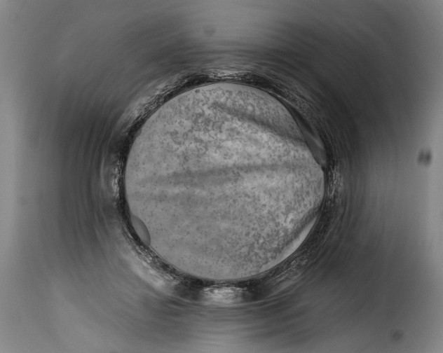 X0000115370452200911241244