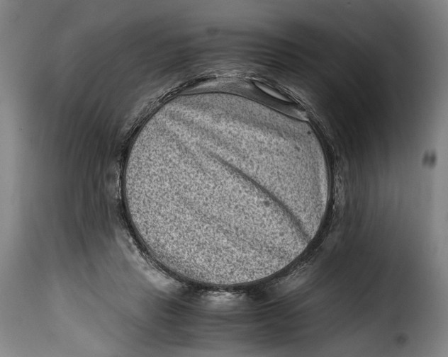 X0000115370453200911241244