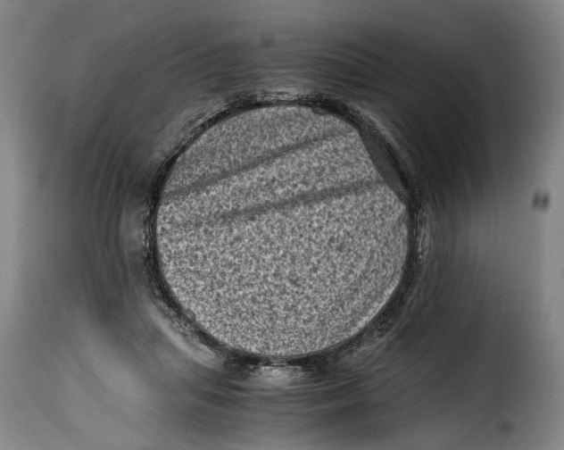 X0000115370455200911241244