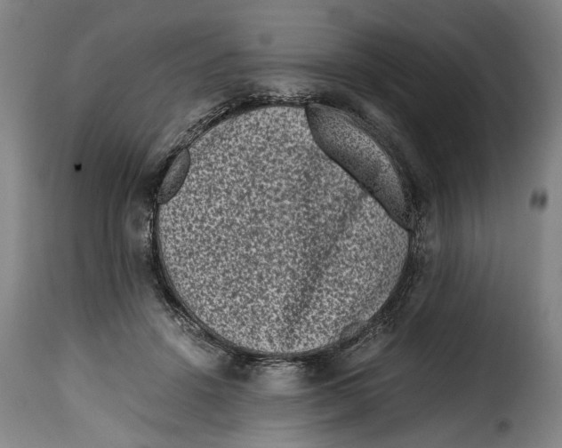 X0000115370456200911241244