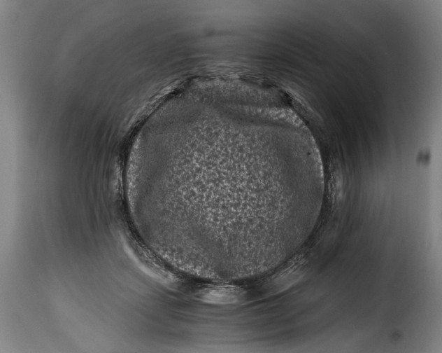 X0000115370459200911241244