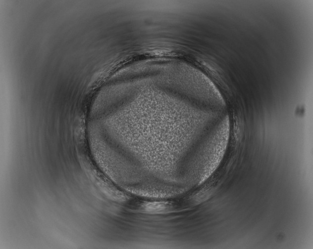 X0000115370461200911241244