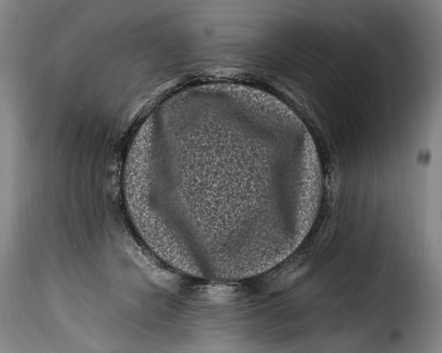 X0000115370462200911241244