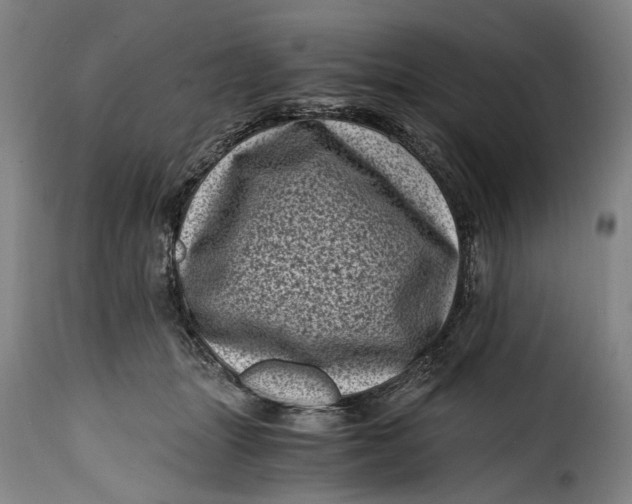 X0000115370463200911241244