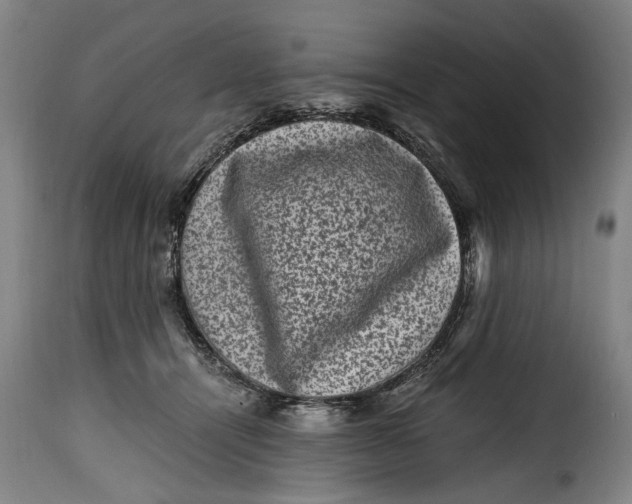 X0000115370464200911241244